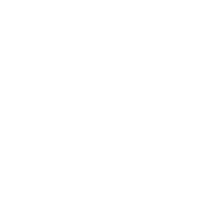 Maximize Budget
